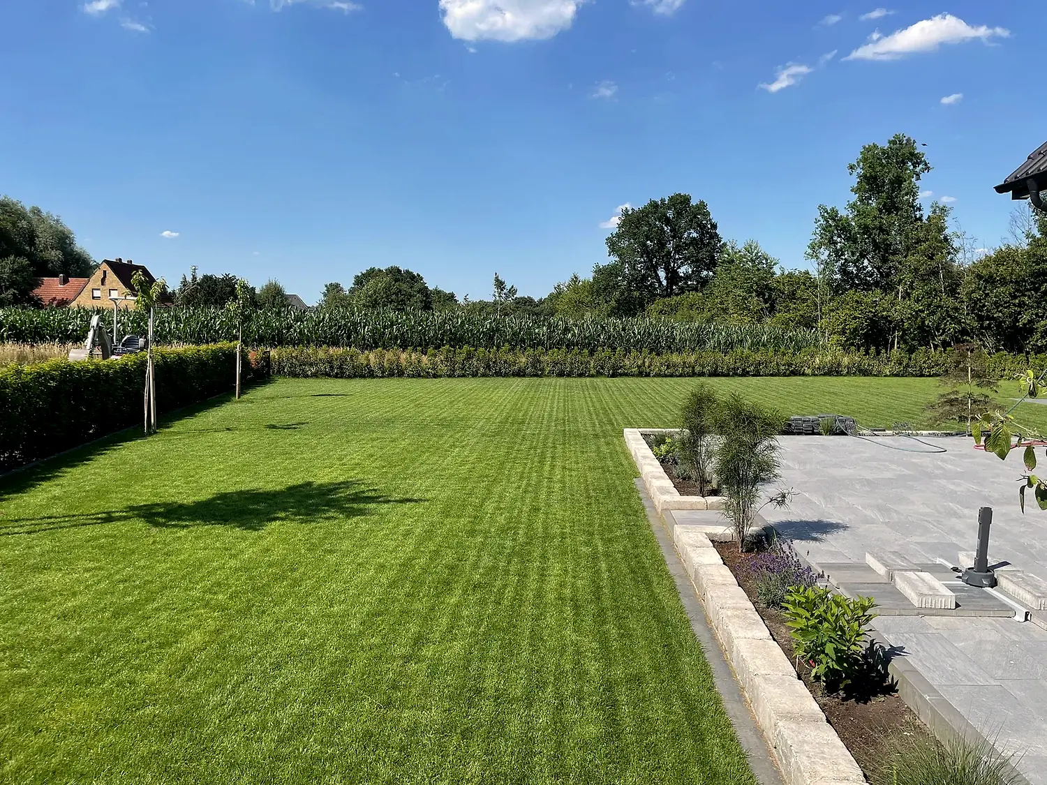Gepflegter Garten mit Rasen, Hecke und angrenzender Pflasterfläche