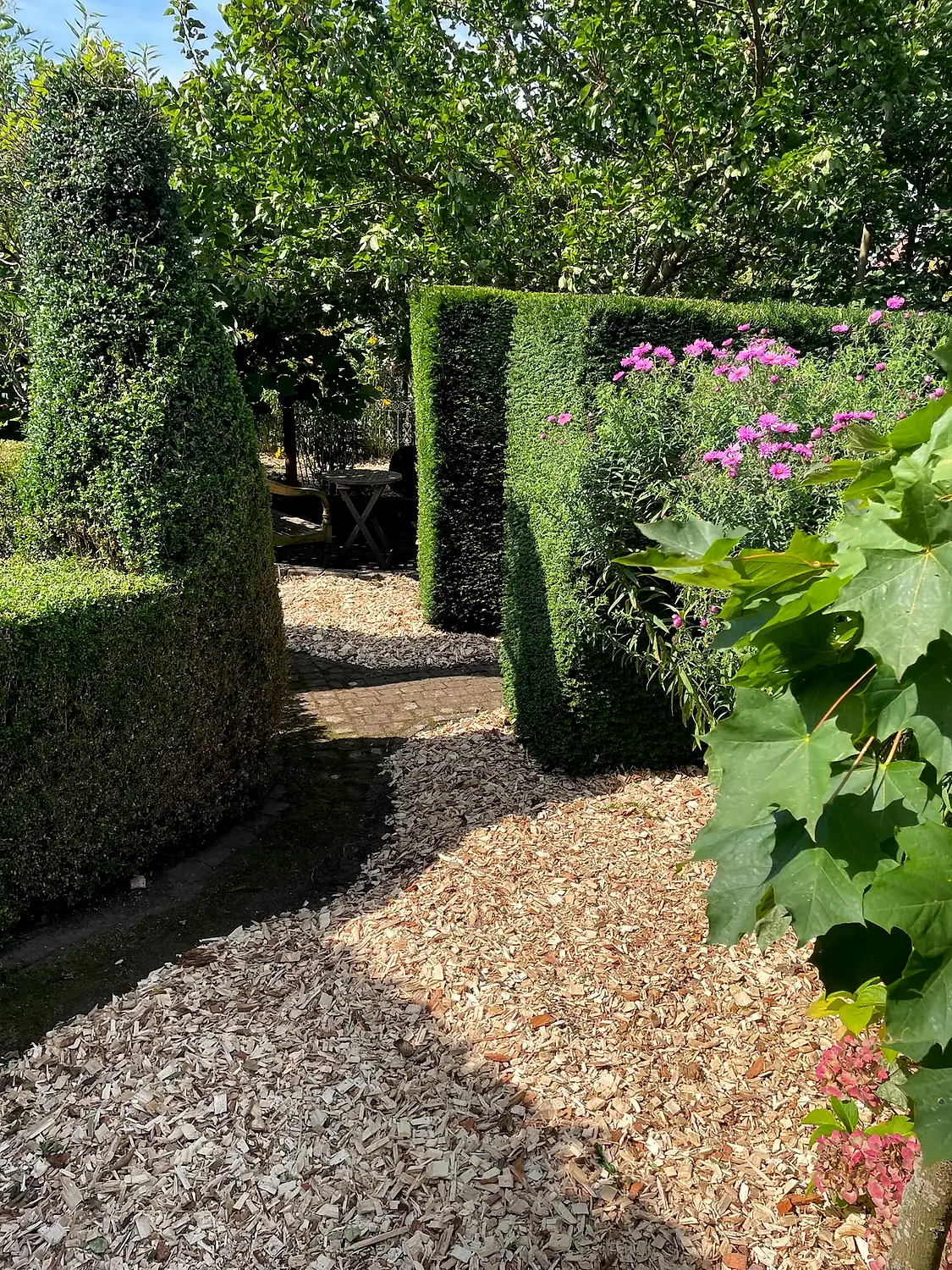 Gepflegte Gartenstruktur mit Formschnitt-Hecken und Kiesweg